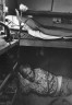 Lawrence Migdale / Man Resting in Trailer-Circus Knie / 1976