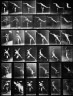 Eadweard J. Muybridge / A, striking a blow; B, throwing disc; C, heaving a 75-lb. stone; / ca. 1884-1887