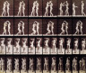 Eadweard J. Muybridge / Two models, 8 drinking from water-jar on the shoulder of 1 / July 20, 1885