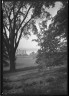 Lewis W. Hine / Landscape / ca. 1907-1937