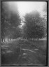 Lewis W. Hine / Landscape / ca. 1907-1937