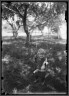 Lewis W. Hine / Boy in Swing / ca. 1903-1938