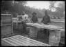 Lewis W. Hine / Gardening- washing Hot House frames / ca. 1908-1937