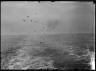 Lewis W. Hine / Nature Forms, Sea Gulls Over Water / ca. 1903-1938