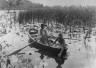 Peter Henry Emerson / Gathering Waterlilies / 1886