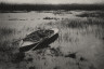 Peter Henry Emerson / Gunner Working Up to Fowl / 1886