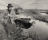 Peter Henry Emerson / Towing the Reed / 1886