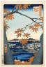 Utagawa Hiroshige / A View of Maples near Tekona Shrine at Mama / circa 1856-1858