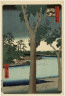 Utagawa Hiroshige / Paulownia Plantation at Akasaka / 1856