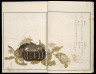 Kitagawa Utamaro / Picture Book of Selected Insects / 1788