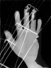 László Moholy-Nagy / Hand Photogram / circa 1925