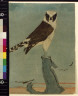 Charles Livingston Bull / Hawk on perch / between 1890 and 1932