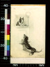 Oliver Herford / Dog: please your Honor, I want to change my name from Dachschund to French Bull / circa 1917