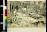 W. A Rogers / Canoeing in the North Woods--a 'carry' / 1888?