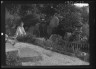 Arnold Genthe / Unidentified woman seated in a garden next to a stream, possibly belonging to A.W. Bahr / between 1917 and 1934