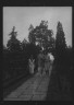 Arnold Genthe / Edge, Charles N., walking with Margaret Edge and another woman in his garden / 1932 or 1933