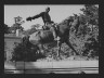 Arnold Genthe / Equestrian statues in Washington, D.C / between 1911 and 1942