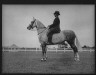 Arnold Genthe / Fletcher, Mr., on a horse / 1933 July