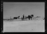 Arnold Genthe / Beach scene with horses, Easthampton, Long Island / between 1933 and 1942