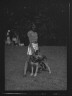 Arnold Genthe / Dog show, Easthampton, Long Island / between 1933 and 1942