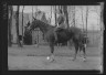 Arnold Genthe / Manners, Alice G., Mrs., on horseback / between 1936 and 1942