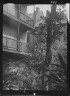 Arnold Genthe / Courtyard, New Orleans / between 1920 and 1926