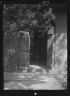 Arnold Genthe / Courtyard, New Orleans / between 1920 and 1926