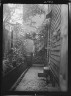 Arnold Genthe / View down narrow outdoor passageway, New Orleans or Charleston, South Carolina / between 1920 and 1926