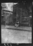 Arnold Genthe / Woman sitting on steps holding a basket, New Orleans / between 1920 and 1926