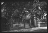 Arnold Genthe / Wrought iron gate and fence, New Orleans or Charleston, South Carolina / between 1920 and 1926