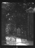 Arnold Genthe / Gate to cemetery, New Orleans or Charleston, South Carolina / between 1920 and 1926