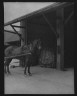 Arnold Genthe / Mule harnessed to a wagon, New Orleans / between 1920 and 1926