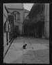 Arnold Genthe / Courtyard with a cat, New Orleans / between 1920 and 1926