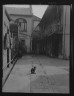 Arnold Genthe / Courtyard with a cat, New Orleans / between 1920 and 1926