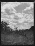 Arnold Genthe / Travel views of the American Southwest / between 1899 and 1928