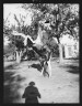 Arnold Genthe / Travel views of the American Southwest / between 1899 and 1928