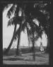 Arnold Genthe / Travel views of Cuba and Guatemala / between 1899 and 1926