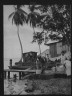 Arnold Genthe / Travel views of Cuba and Guatemala / between 1899 and 1926