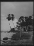 Arnold Genthe / Travel views of Cuba and Guatemala / between 1899 and 1926