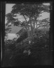 Arnold Genthe / Travel views of Japan and Korea / 1908