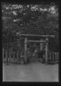 Arnold Genthe / Travel views of Japan and Korea / 1908