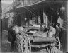 Arnold Genthe / The fish peddler, Chinatown, San Francisco / between 1896 and 1906