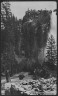 Arnold Genthe / Travel views of Yosemite National Park / between 1903 and 1906