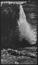 Arnold Genthe / Travel views of Yosemite National Park / between 1903 and 1906