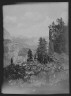 Arnold Genthe / Travel views of Yosemite National Park / between 1903 and 1906