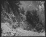 Arnold Genthe / Travel views of Yosemite National Park / between 1903 and 1906