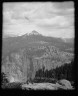 Arnold Genthe / Travel views of Yosemite National Park / between 1903 and 1906