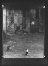 Arnold Genthe / Courtyard with cats, New Orleans / between 1920 and 1926