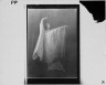 Arnold Genthe / Anna Pavlova dancing / between 1915 and 1942; from a negative taken 1915 Nov. 8