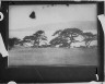 Arnold Genthe / Travel views of Japan / between 1908 and 1942; from a negative taken in 1908